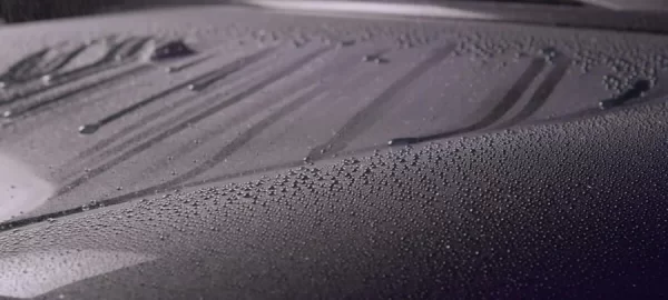 272741635_1072750903515655_1363884646180226669_n